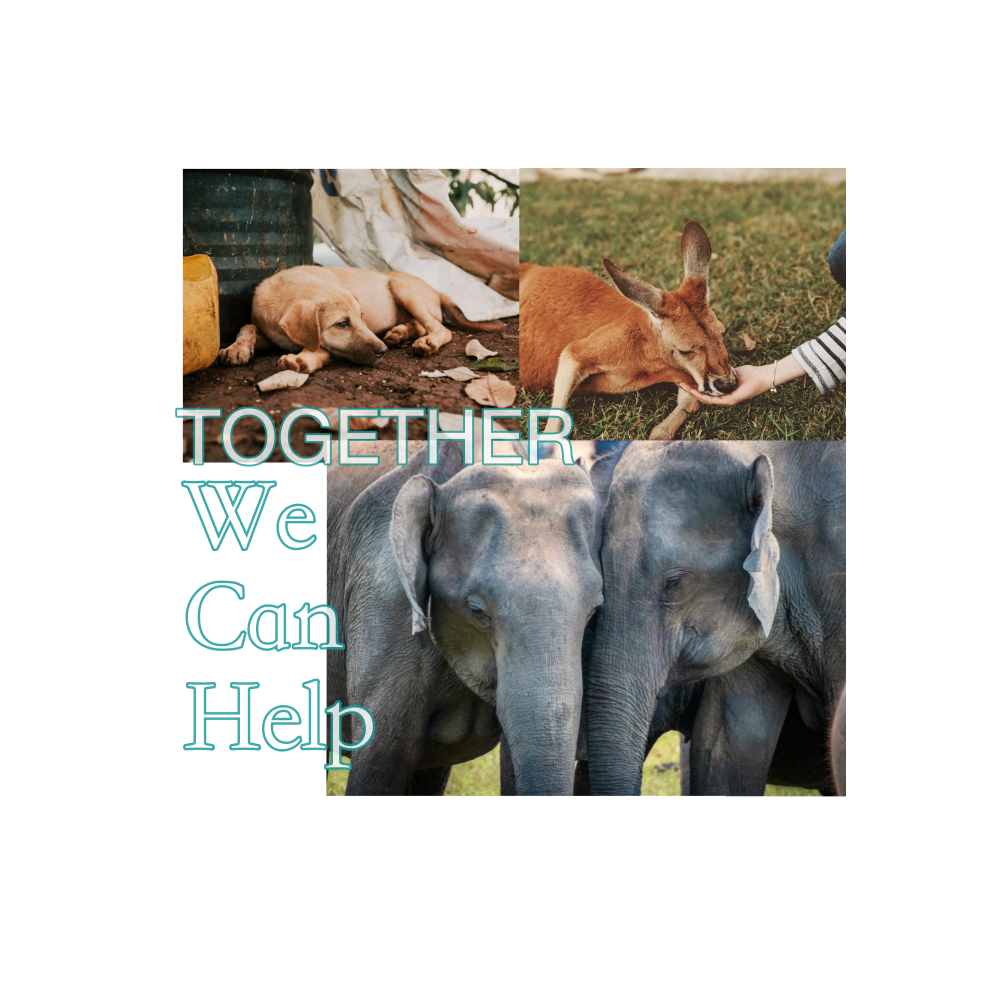 We Can Help Together