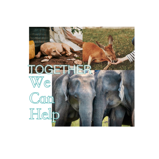 We Can Help Together