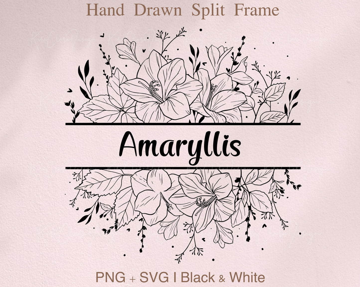 Amaryllis (Hippeastrum) Flower Split Frame Clipart/ Black & White