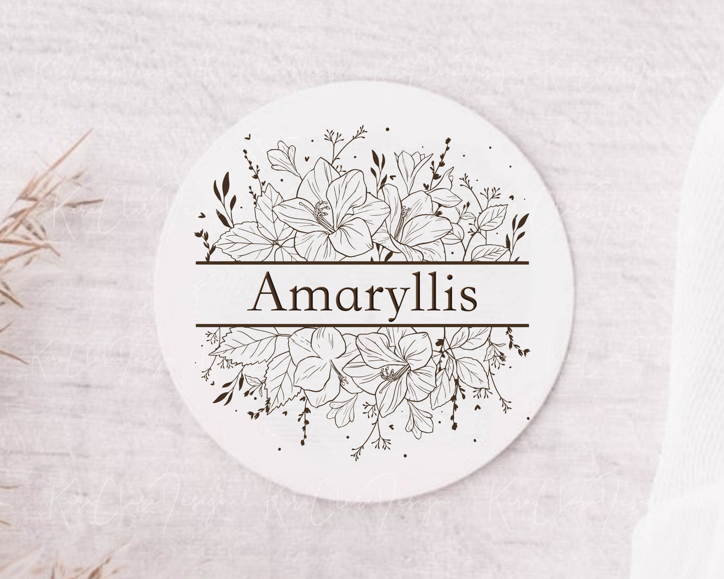 Amaryllis (Hippeastrum) Flower Split Frame Clipart/ Black & White