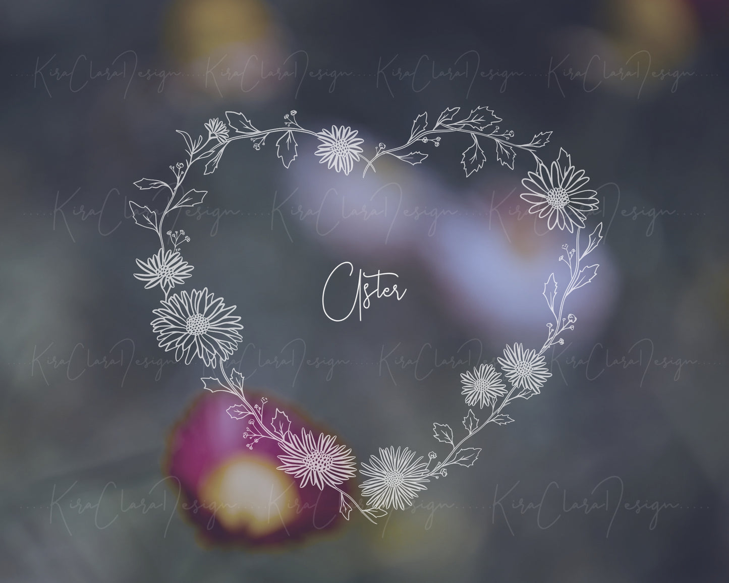 Aster Flower (Michaelmas daisy) Heart Wreath Clipart