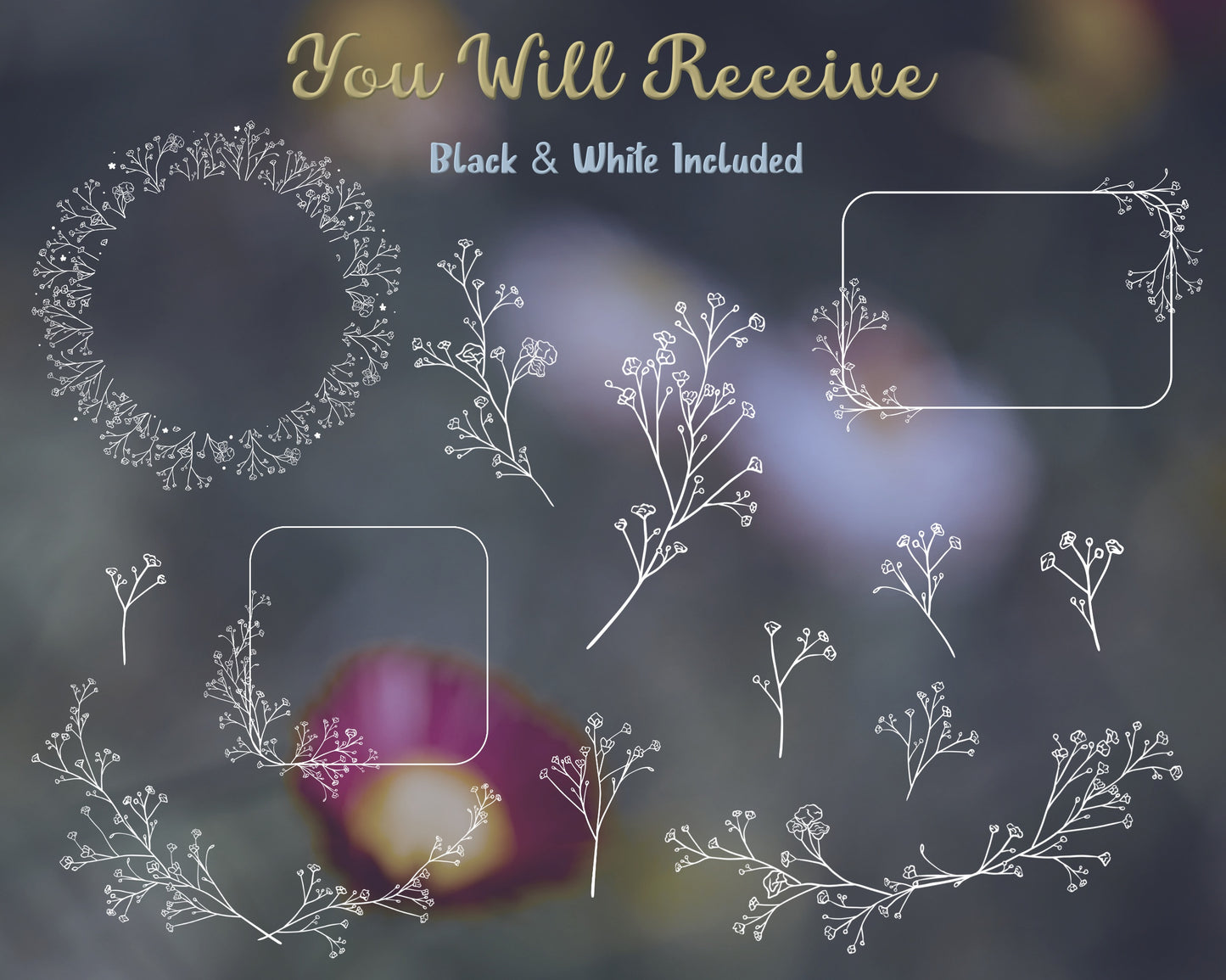 Baby's Breath Flower Clipart Bundle in Black & White