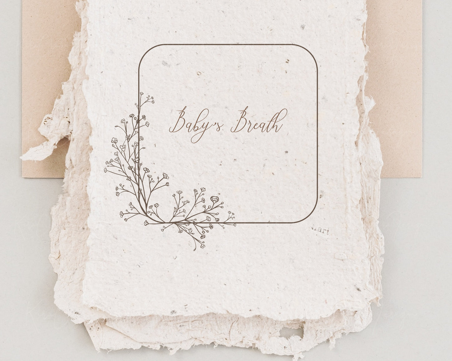 Baby's Breath Flower Clipart Bundle in Black & White