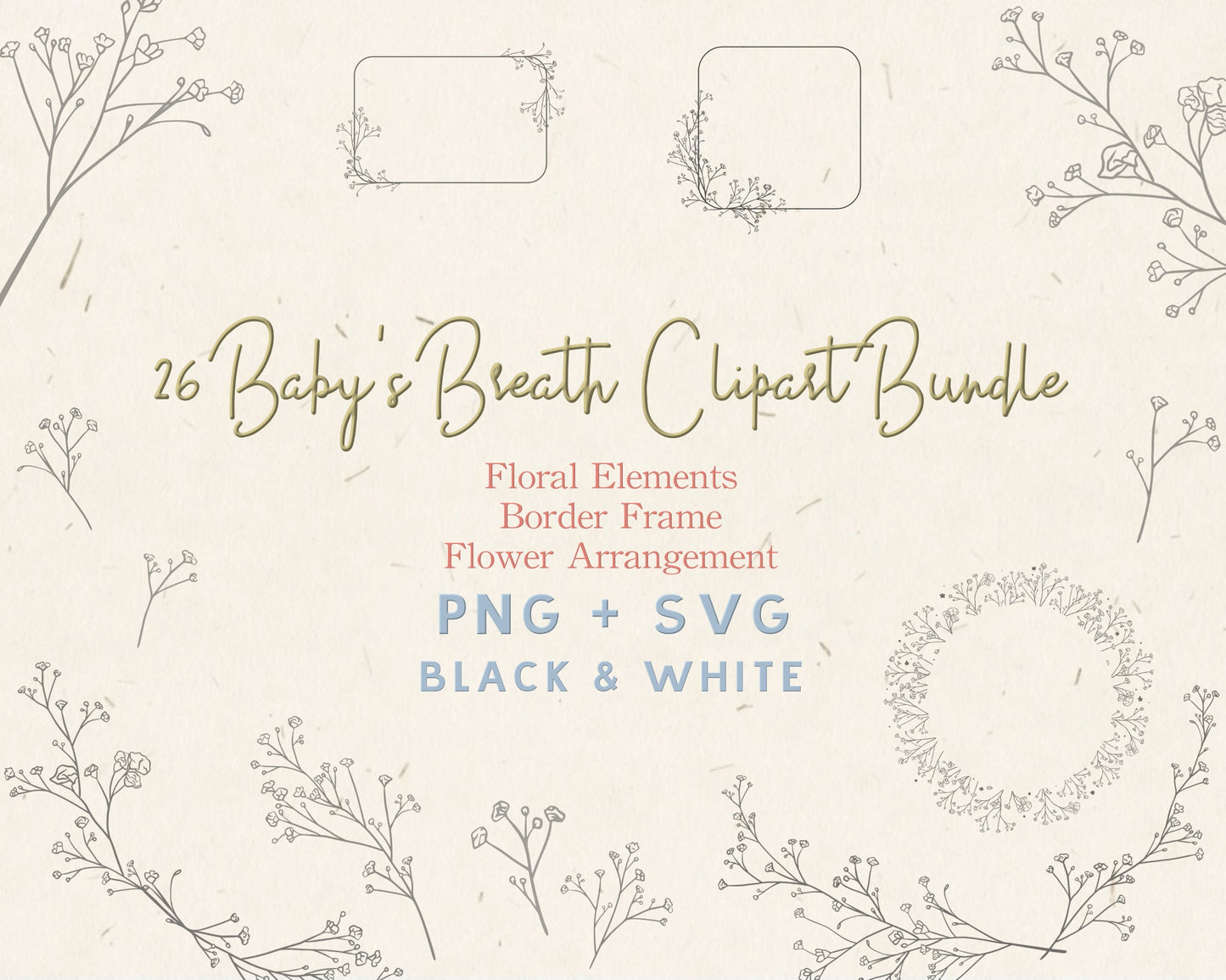 Baby's Breath Flower Clipart Bundle in Black & White