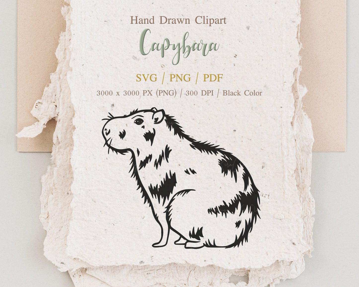 Capybara Clipart