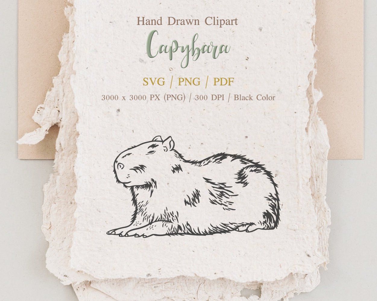 Capybara Clipart