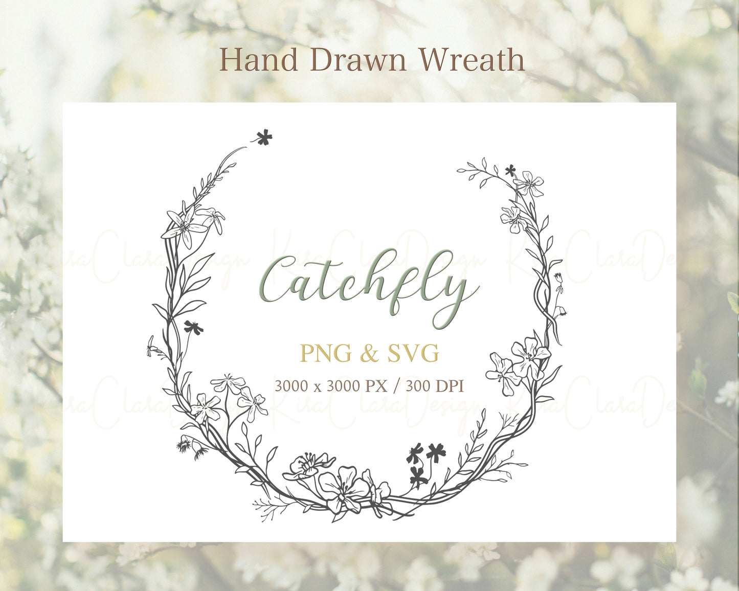 Catchfly Flower (Campion) Half Wreath Clipart