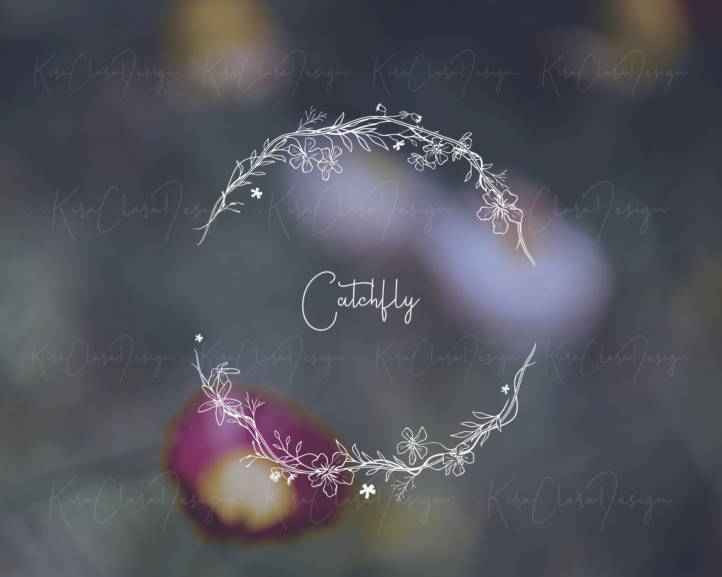 Catchfly Flower (Campion) Half Wreath Clipart