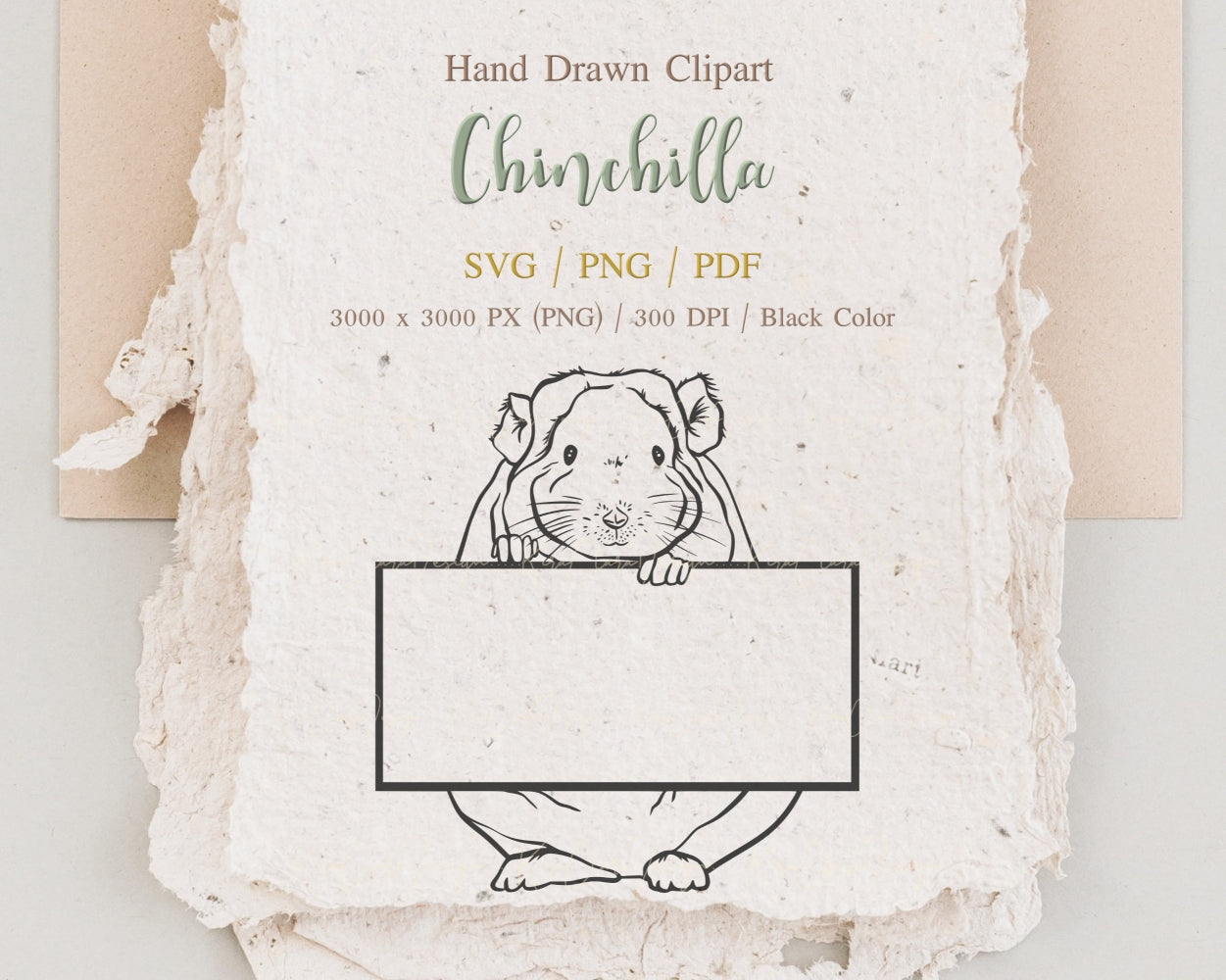 Chinchilla Clipart