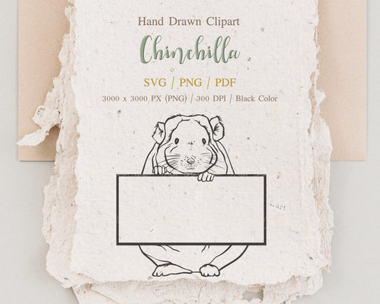 Chinchilla Clipart