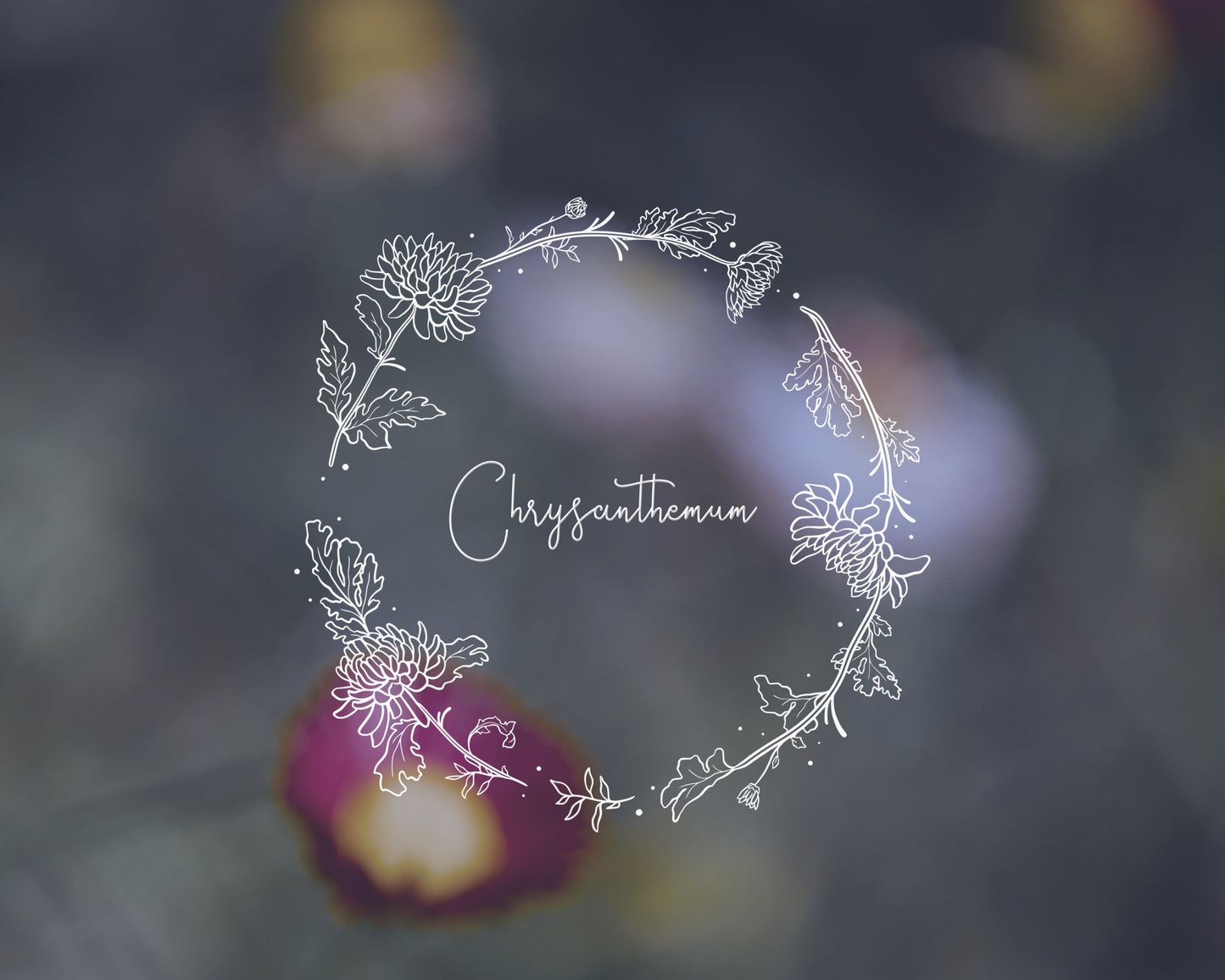 Chrysanthemum Flower Full Wreath Clipart