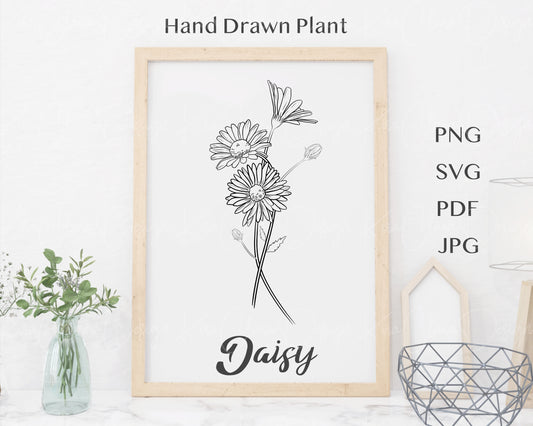 April Birth Flower Daisy Outline Clipart Minimalist