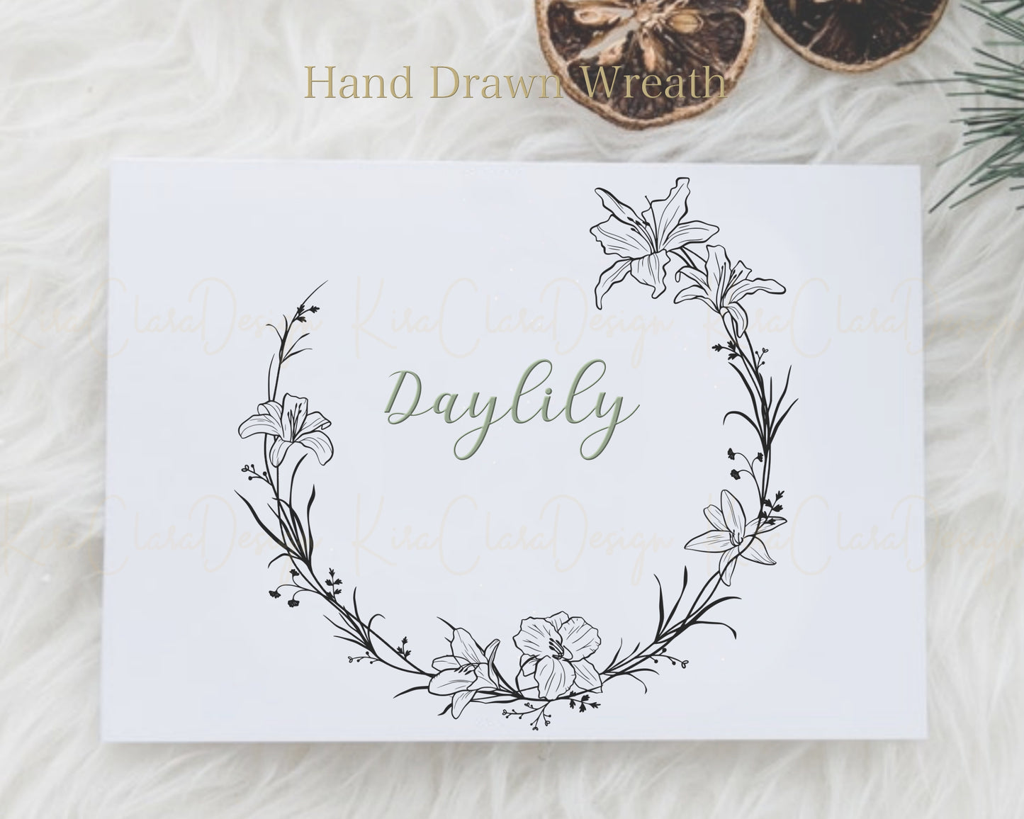 Daylily ( Hemerocallis Fulva ) Half Flower Wreath Clipart