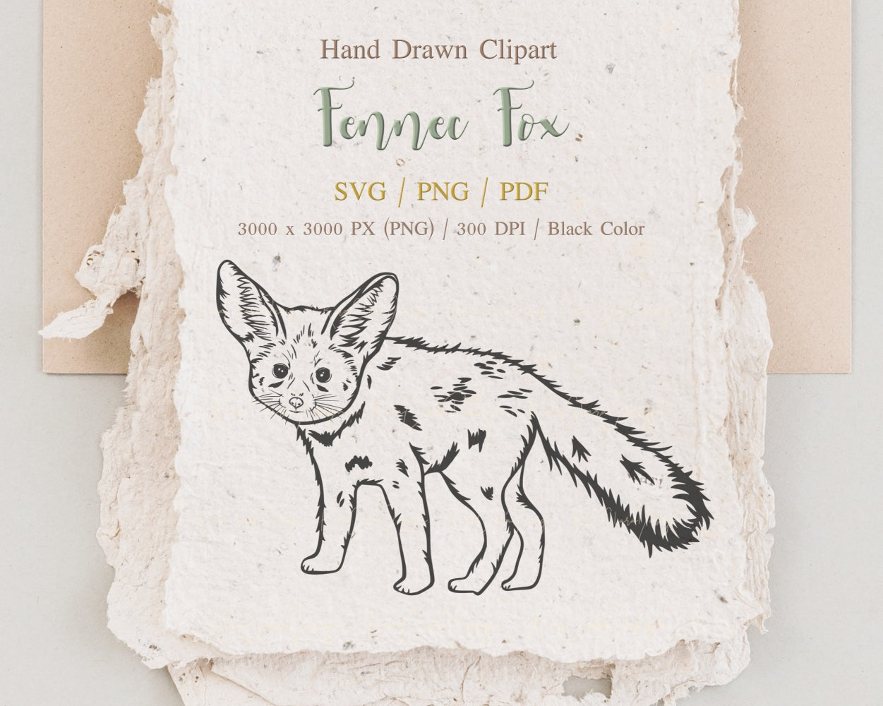 Fennec Fox Clipart