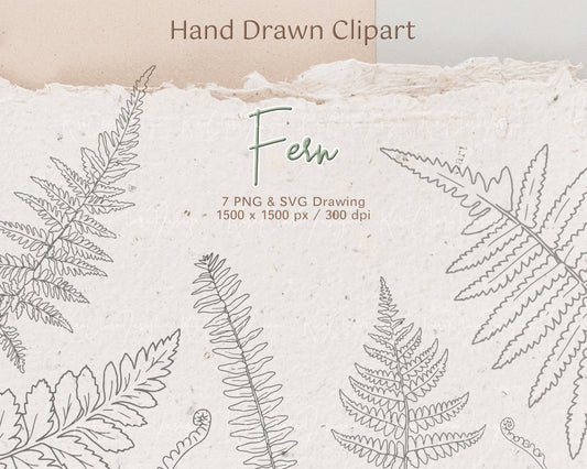 Fern Leaf Botanical Elements Clipart