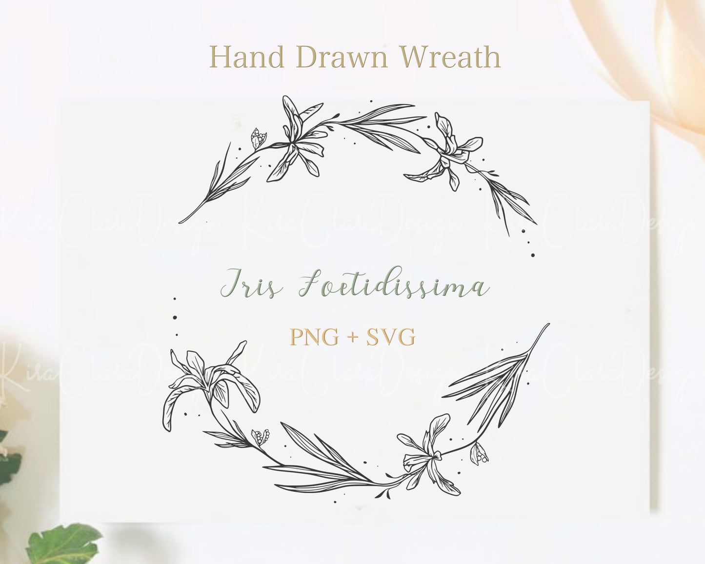 Iris Foetidissima ( Coral Iris ) Half Wreath Clipart