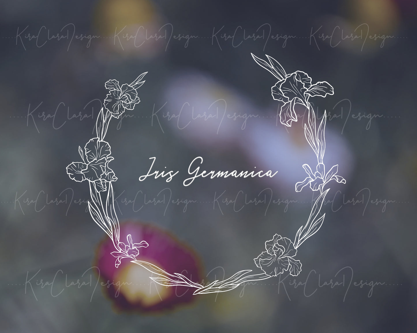 Iris Germanica Flower Botanical Half Wreath Illustration