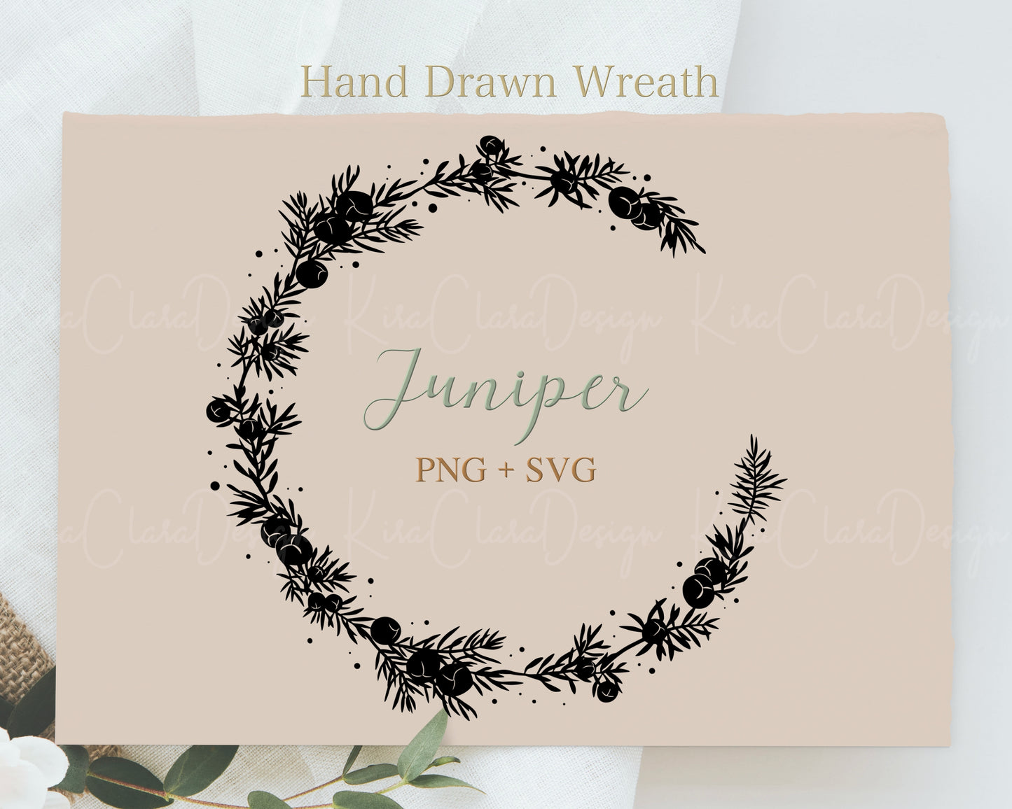 Juniper ( Juniperus ) Half Wreath Clipart