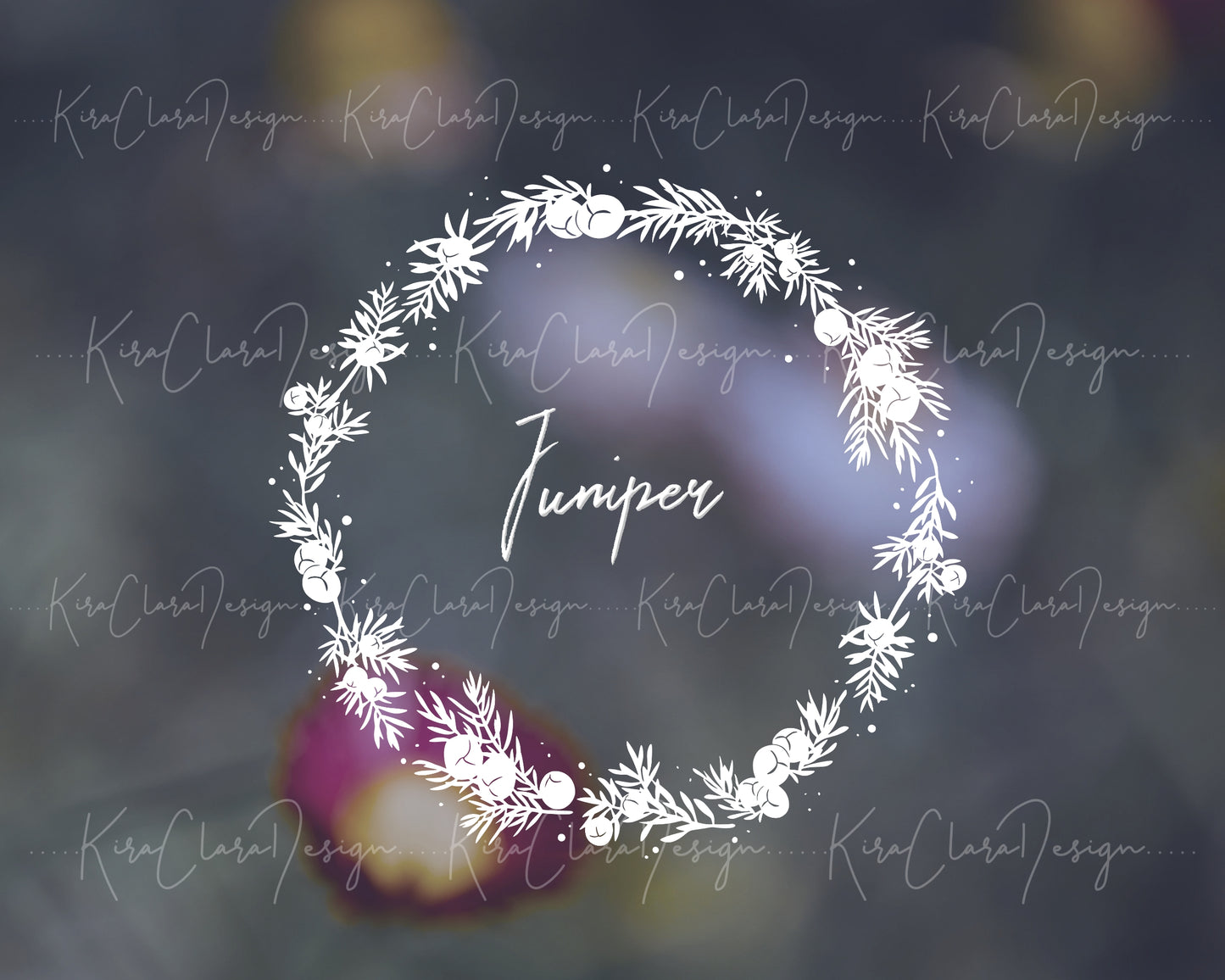 Juniper ( Juniperus ) Full Wreath Clipart