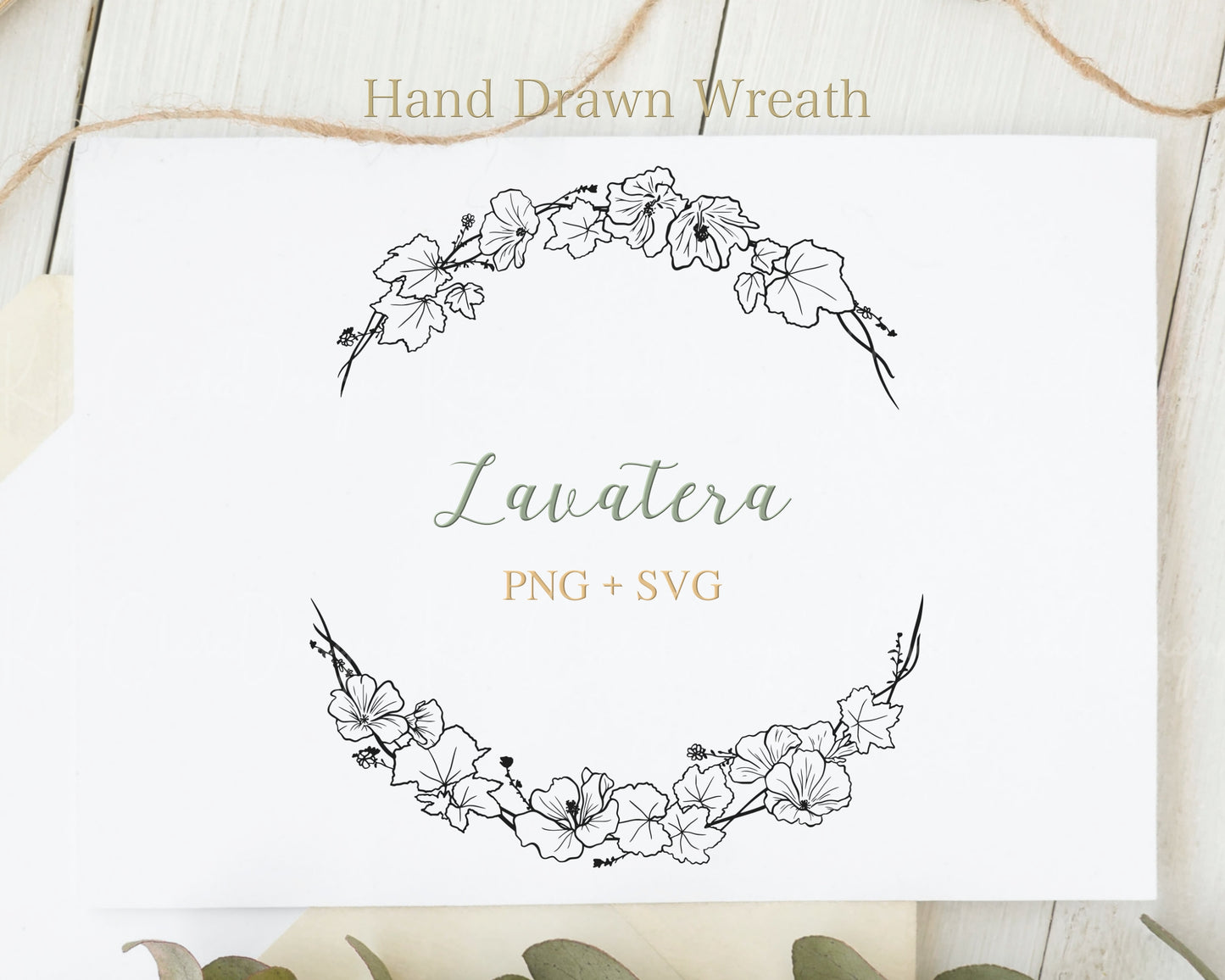 Lavatera Flower (Tree Mallow) Botanical Half Wreath Clipart