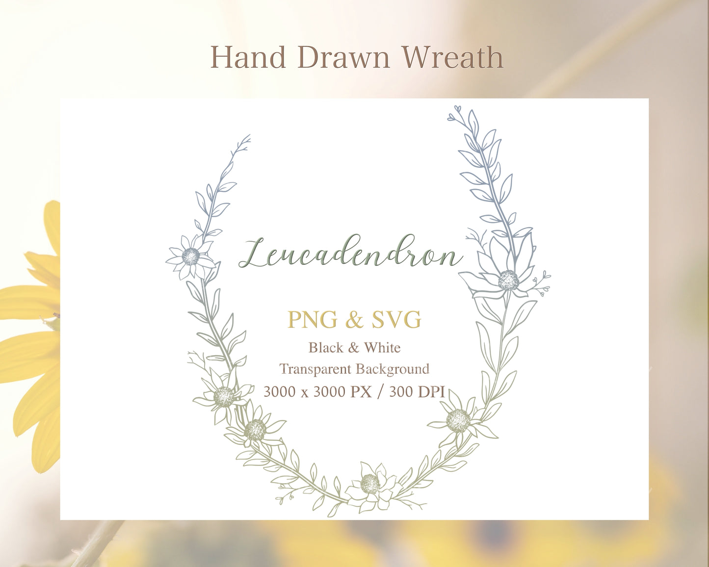 Leucadendron Botanical Wreath Clipart