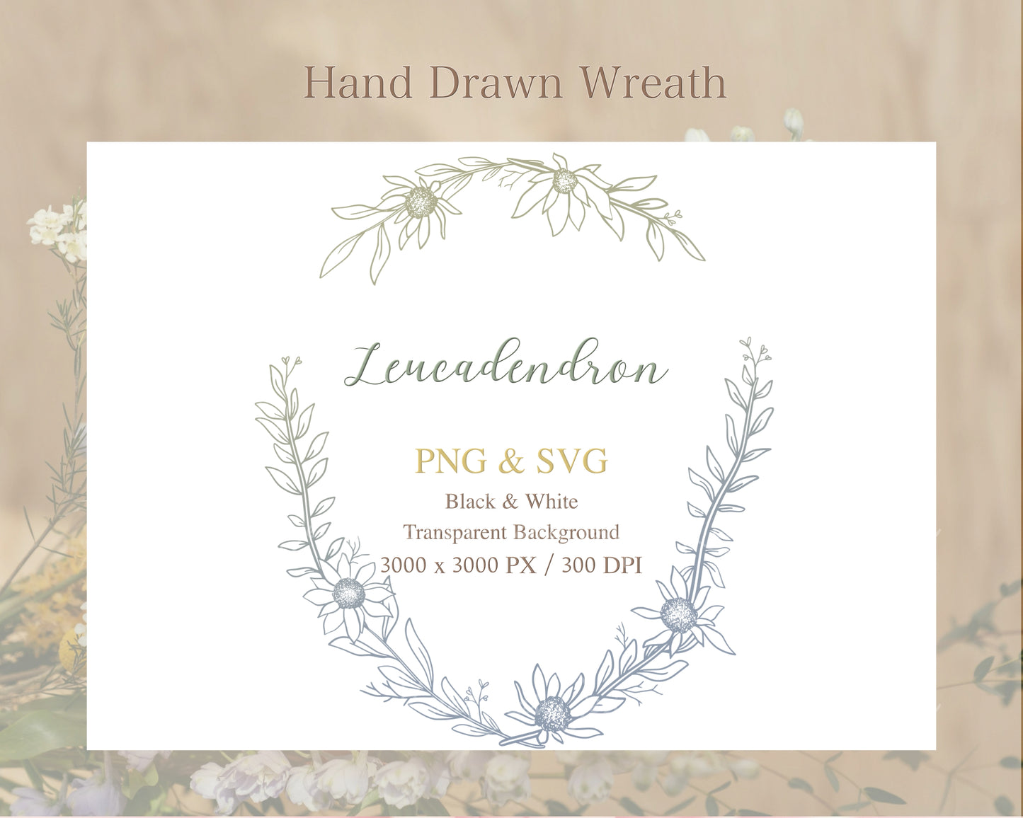 Leucadendron Botanical Wreath Clipart