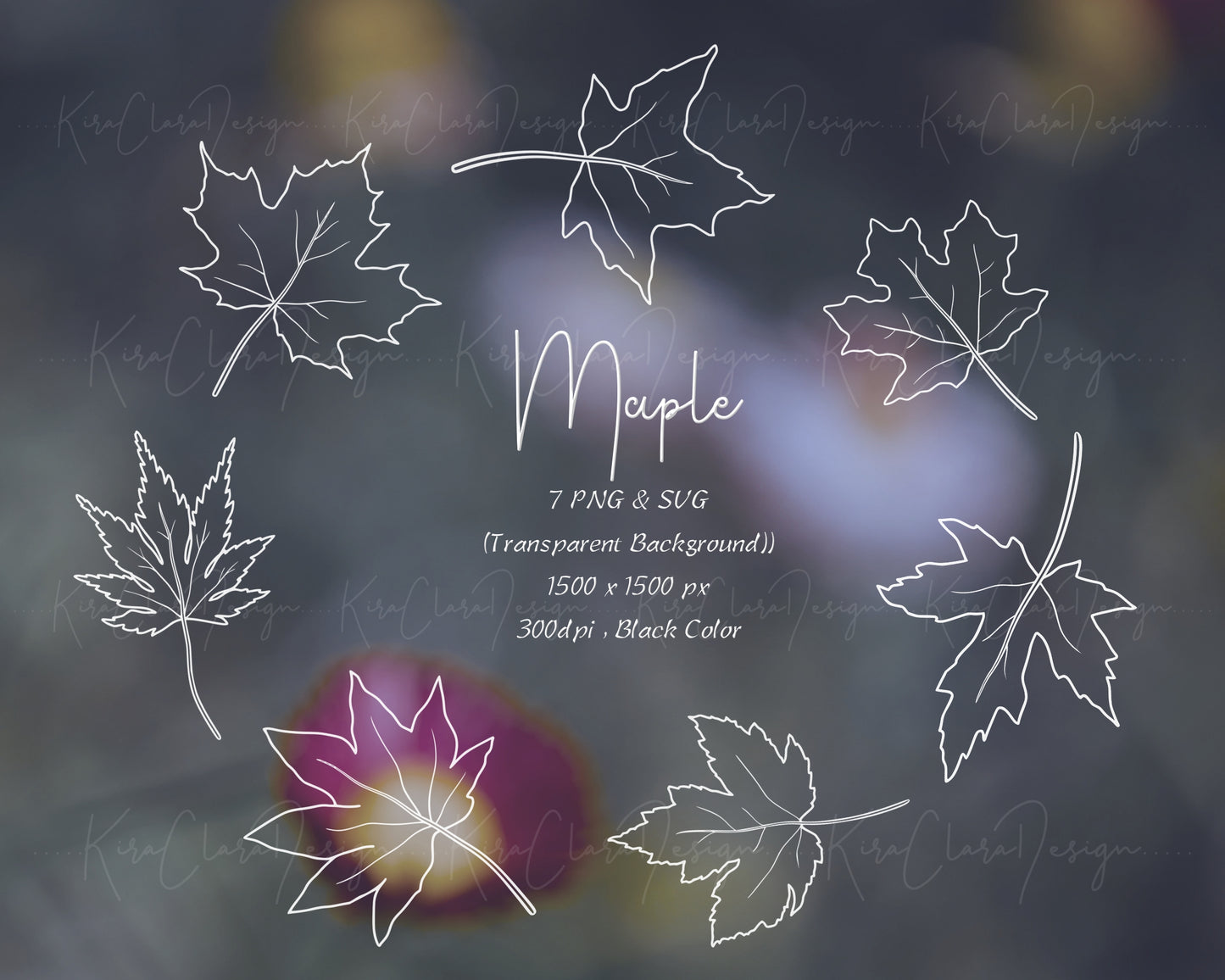 Maple Leaf Botanical Clipart