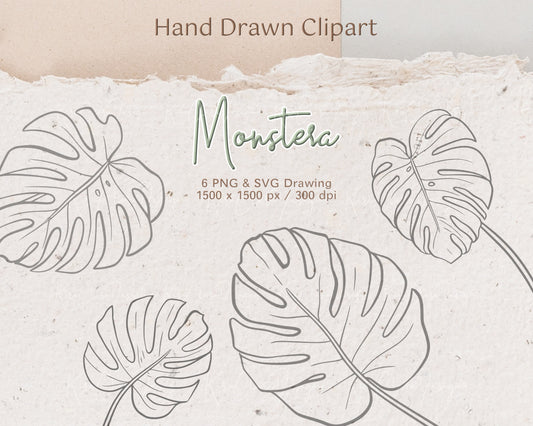 Monstera Leaf Elements Clipart