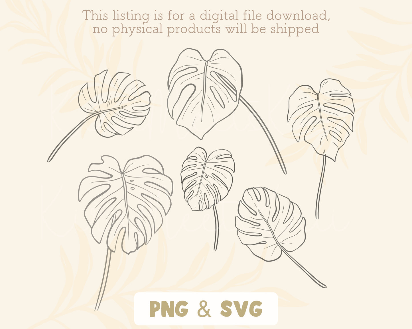 Monstera Leaf Elements Clipart