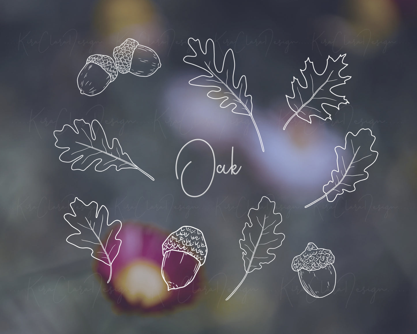 Oak Leaf Oak Fruit Botanical Clipart