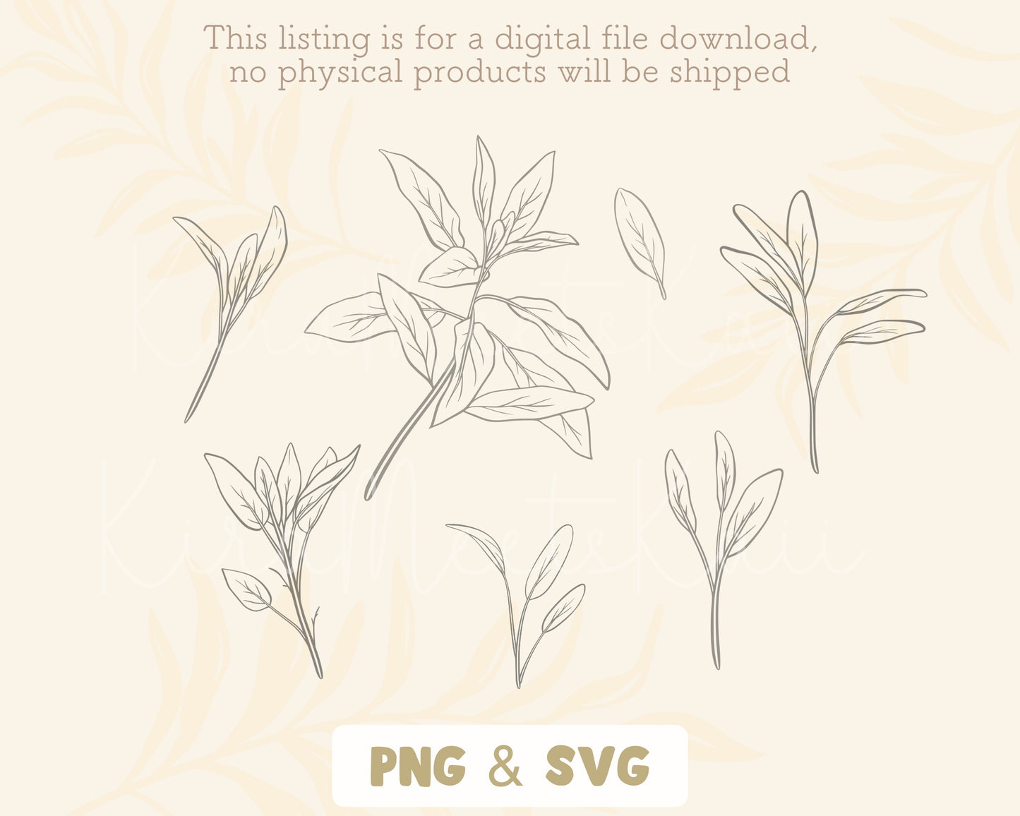 Sage Leaf Elements Clipart