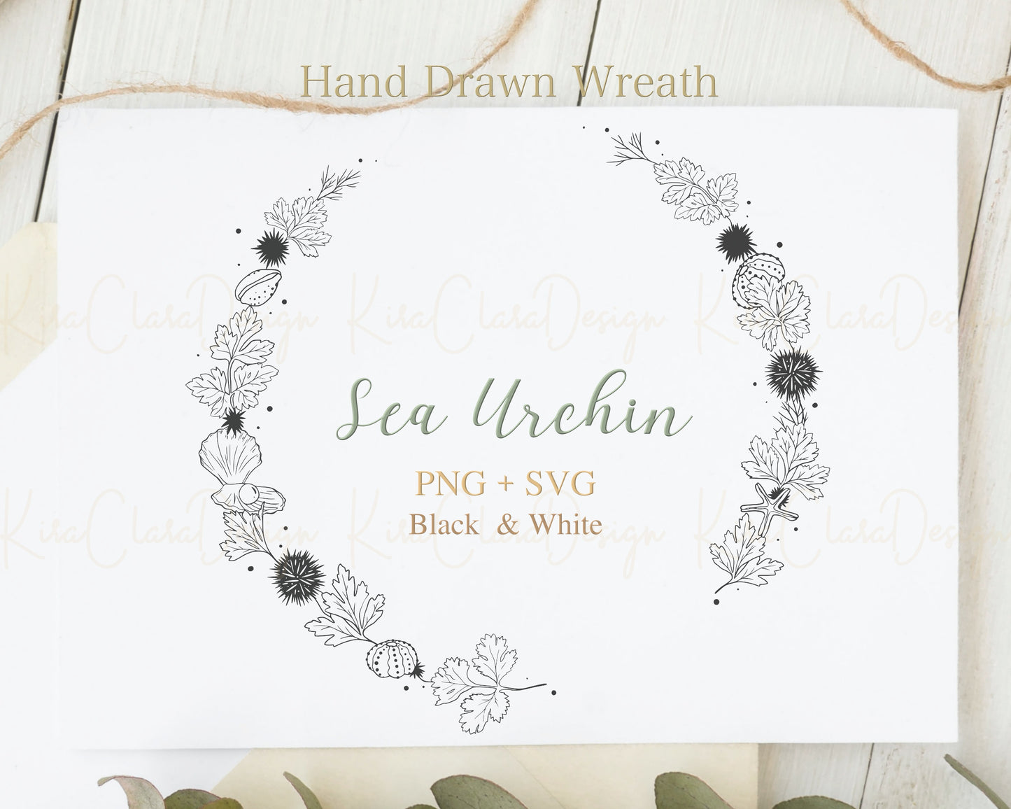 Sea Urchin Wreath Clipart / Black & White