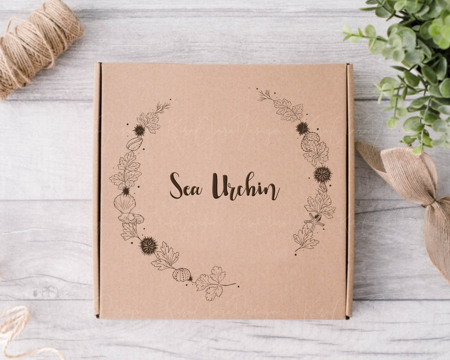 Sea Urchin Wreath Clipart / Black & White