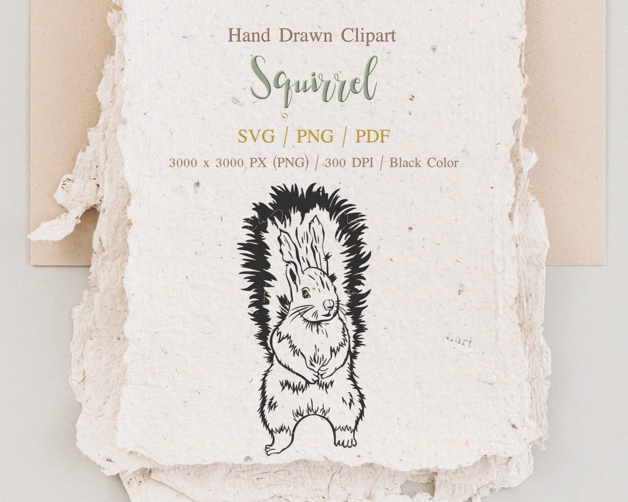 Squirrel Clipart