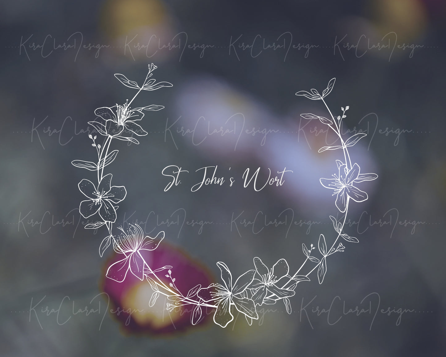 St. John's Wort Flower (Hypericum) Half Wreath Clipart