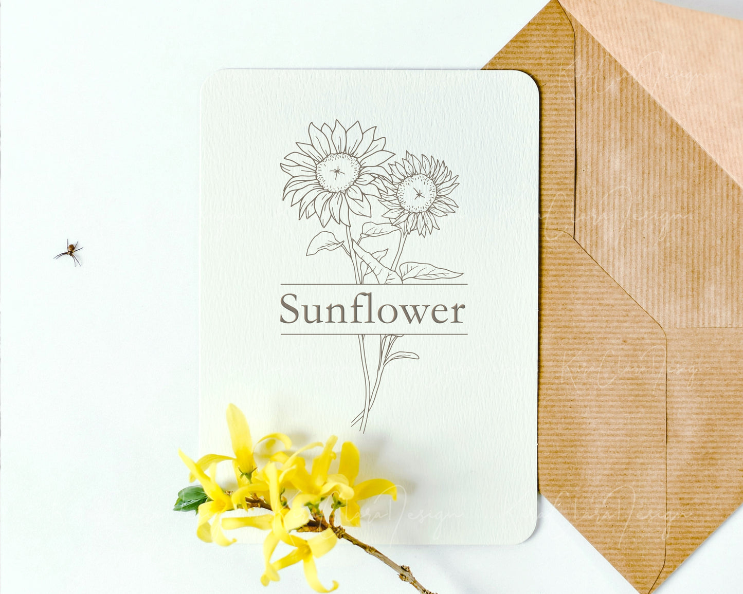 Sunflower Botanical Split Frame Clipart