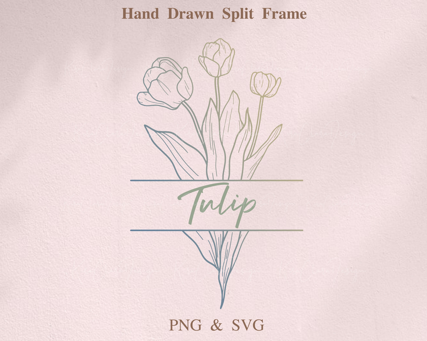 Tulip Flower Split Border Frame Clipart