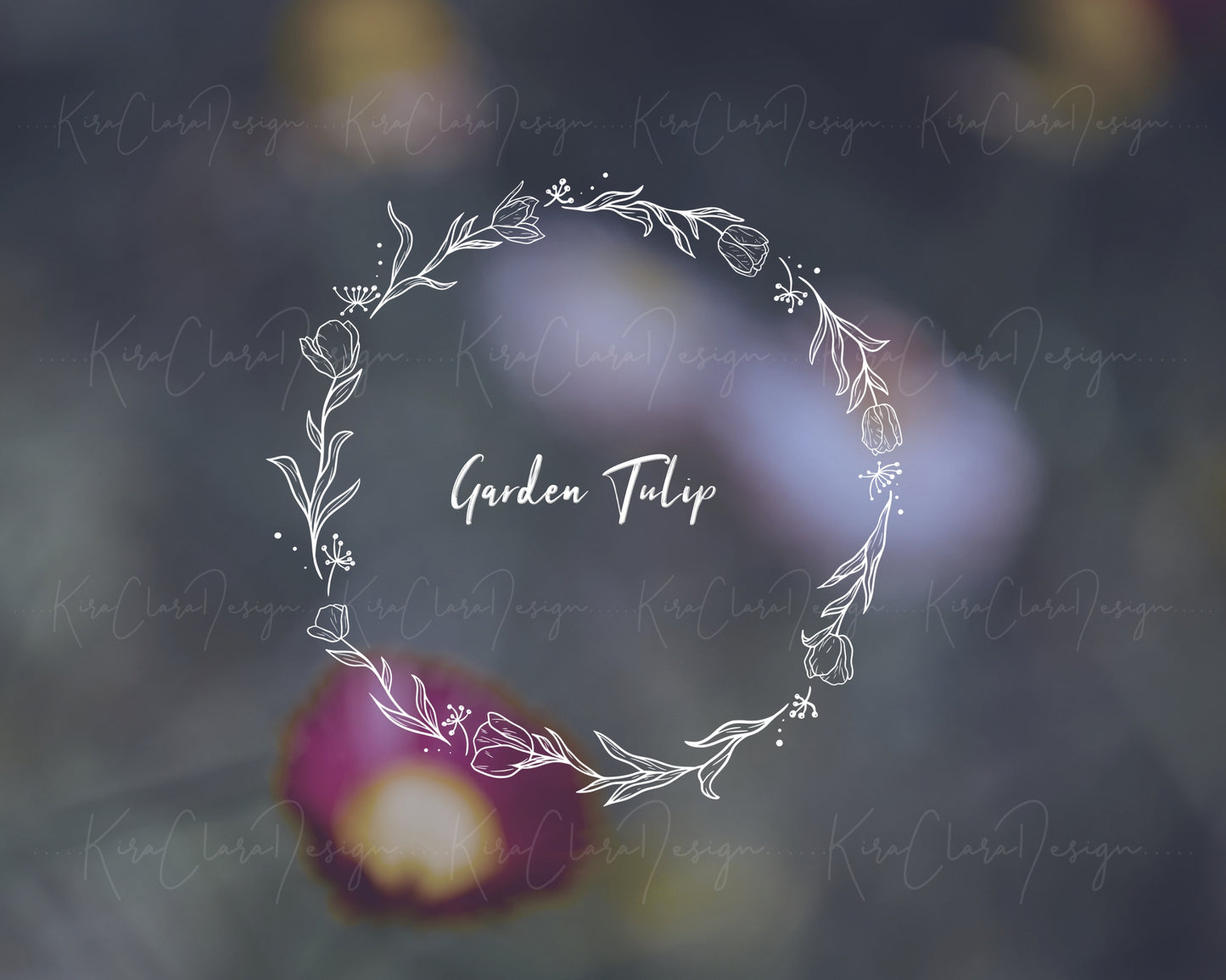 Garden Tulip Flower ( Tulipa gesneriana ) Full Wreath Clipart