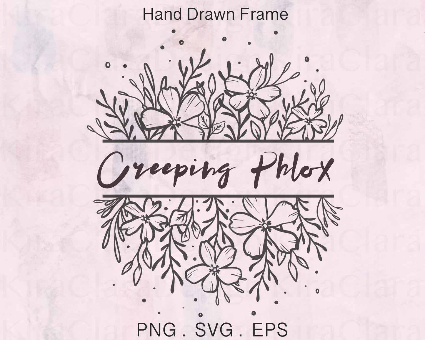 Creeping Phlox Flower Split Frame Clipart