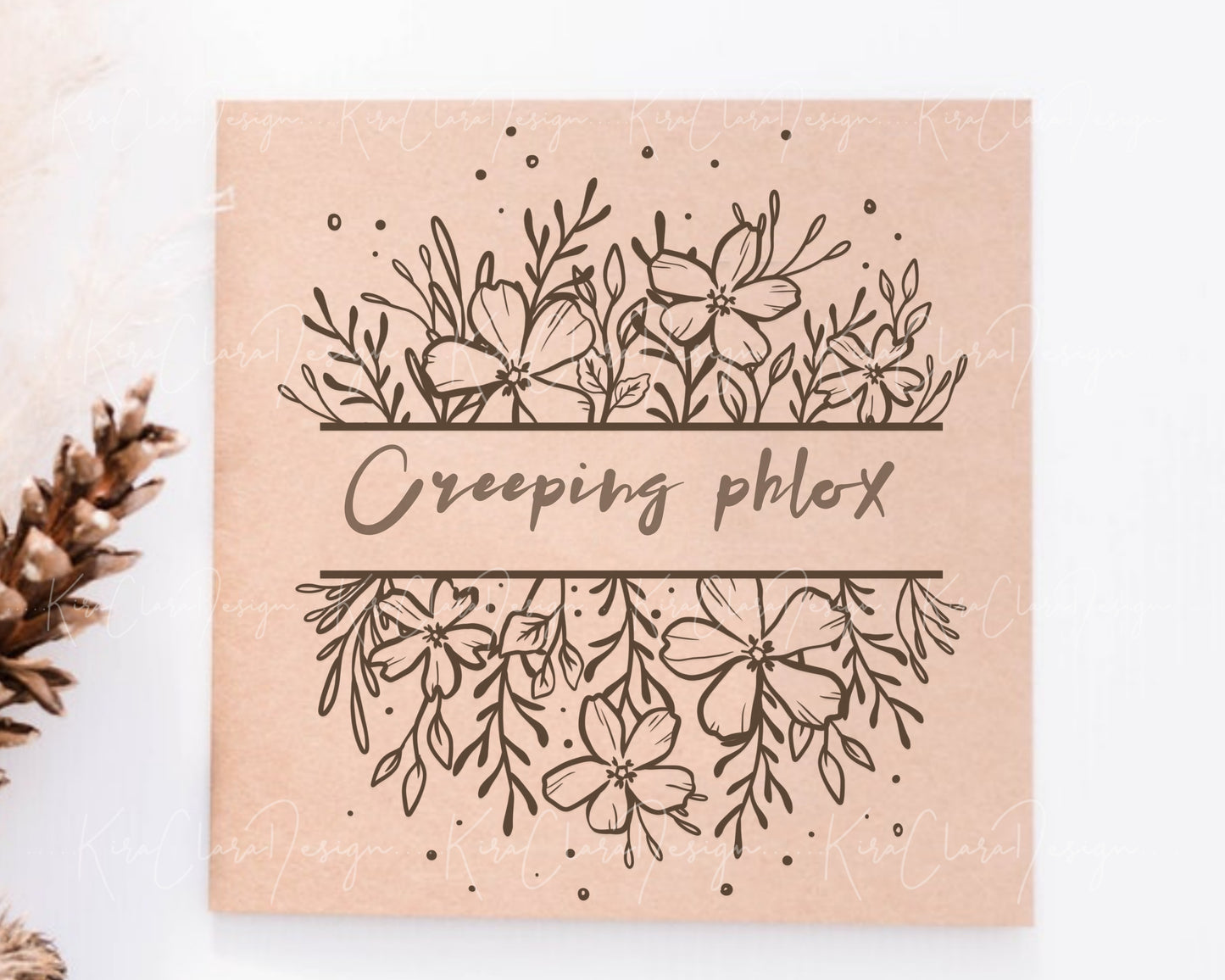 Creeping Phlox Flower Split Frame Clipart