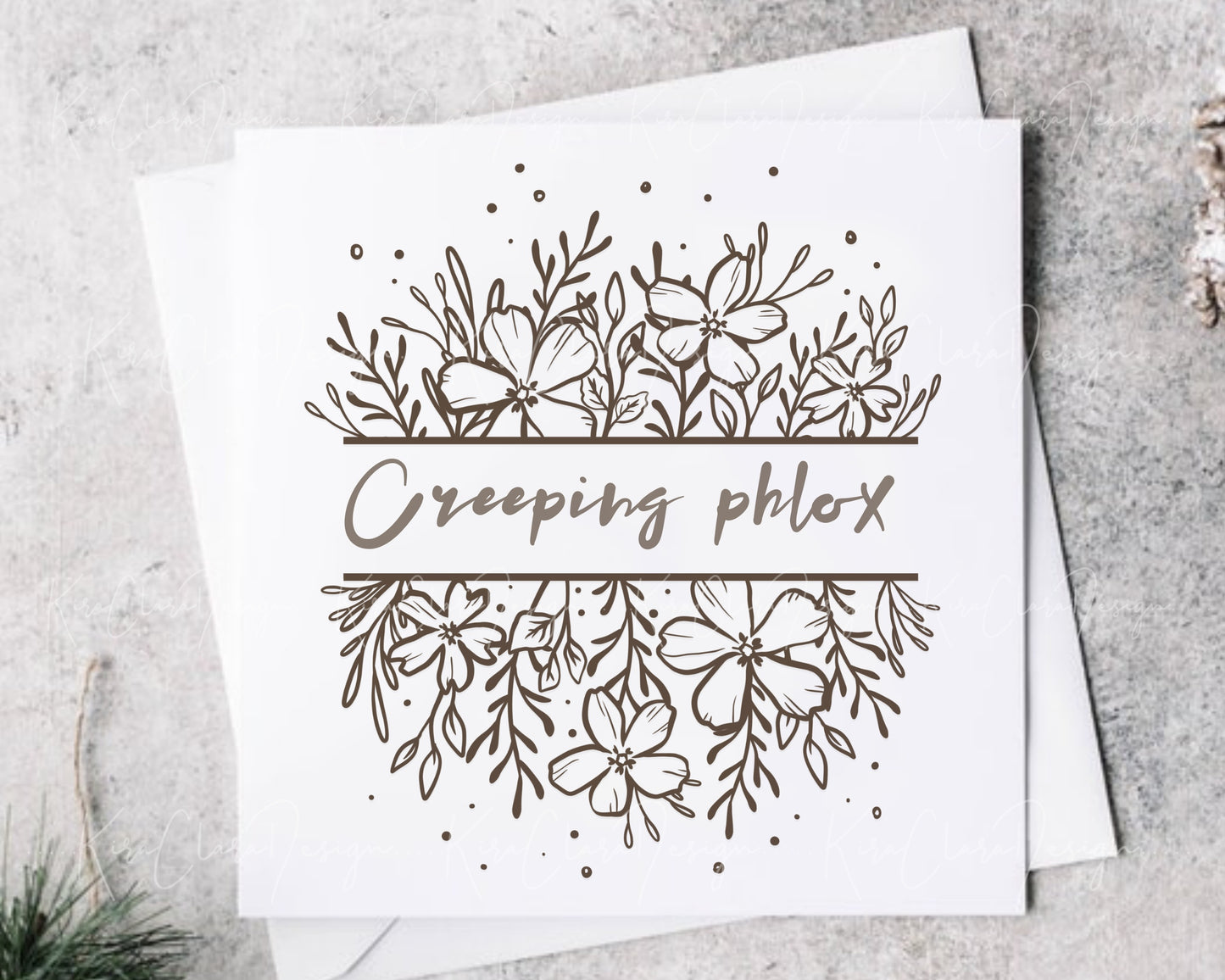 Creeping Phlox Flower Split Frame Clipart