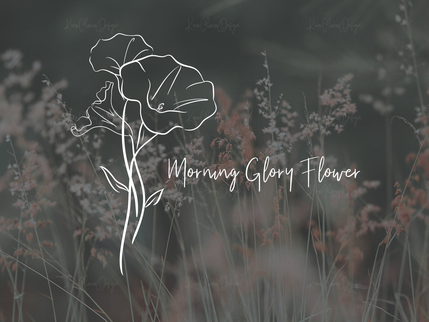 Morning Glory Birth Flower Outline Clipart SVG