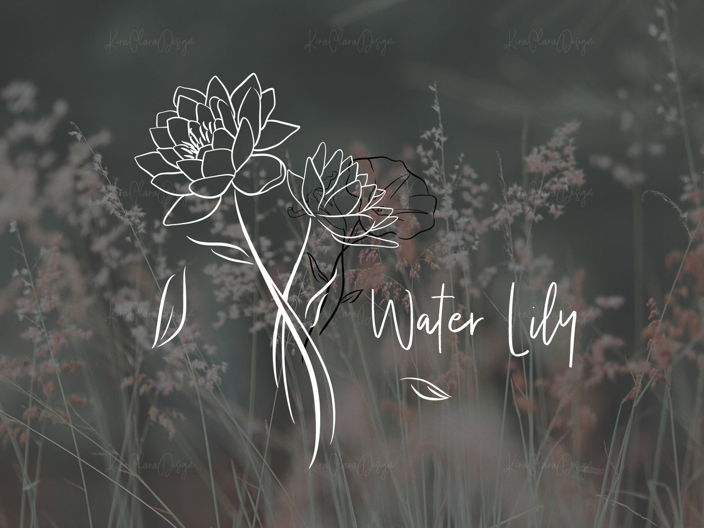 Birth Flower Water Lily Clipart